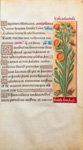 Extrait de Horae ad usum romanum XVIe sicle. Cliquez sur limage pour lagrandir